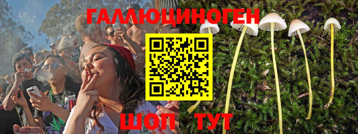 Галлюциногенные грибы Psilocybe Набережные Челны