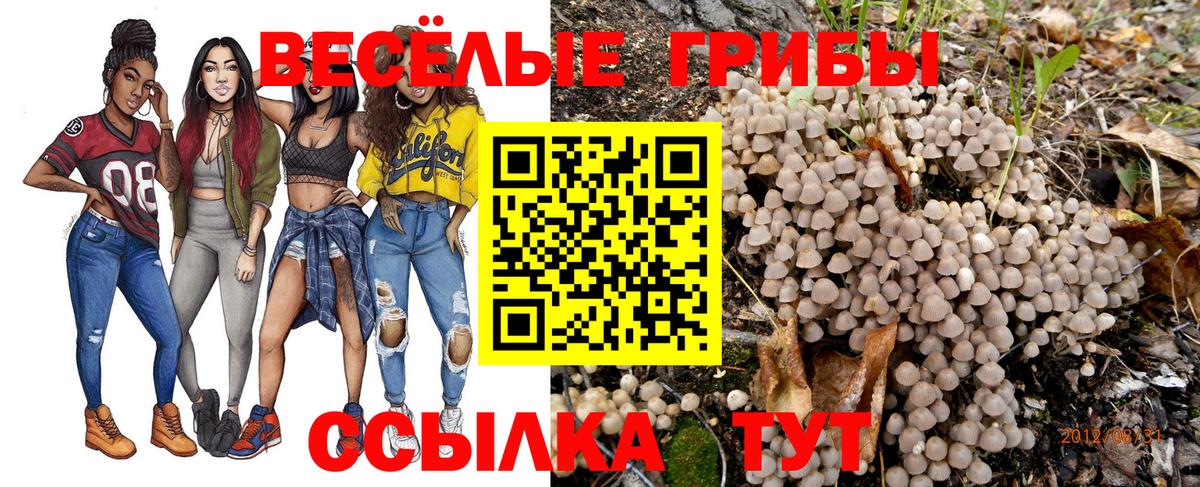 что такое   Галлюциногенные грибы Magic Shrooms  Вход с VPN  Галлюциногенные грибы Psilocybine cubensis  Набережные Челны 